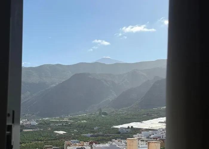 Apartment Connect With Calm And Nature